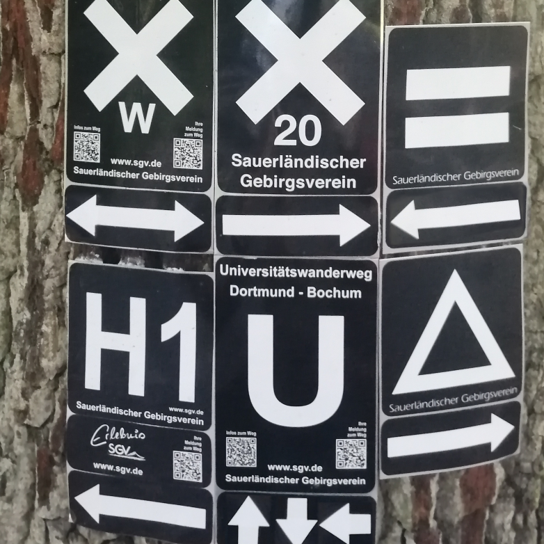 Die „Multioptionsgesellschaft“ von Peter Gross gehört zu den visionären, neben Becks Risikogesellschaft etwas verblassten Gesellschaftstheorien. Gross geht dabei von einer allgemein zugänglichen Alltagswelt aus, deren konsumtreibende Kraft angesichts einer Freistellung von existenziell bedrohenden Umständen eine Vielzahl potentieller Möglichkeiten erst entwickelt – und dann zur Auswahl stellt. Damit wird die Kehrseite der Verpflichtung zu wählen deutlicher. Was genau und aufgrund welcher Faktoren soll gewählt werden? Gross modelliert seine Fassetten der Wahlmöglichkeit als hedonistischen, konsumorientierten Zukunftsentwurf. Während Becks Risikogesellschaft in das Innere der Moderne vorzudringen scheint, treibt Gross auf den Wellen von Unterhaltung, Medien, Immanenz und Kurzfristigkeit. Man kann fragen, ob genau dieser Entwurf – in einer kritischen, fast normativen Lesart – nicht eine genau Analyse der (Post?)Moderne darstellt. Sehr viele Hinweise, mitunter widersprüchlich.